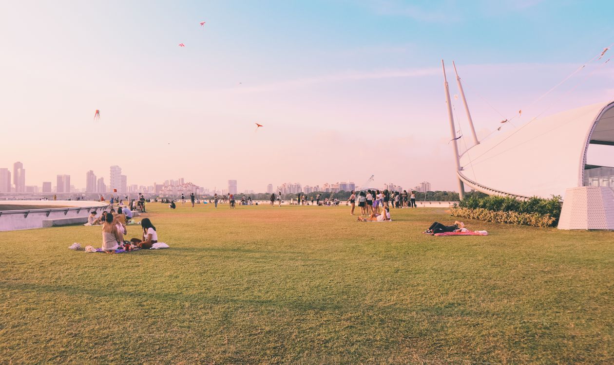 Families fly kites on the lawn at Marina Barrage at dusk