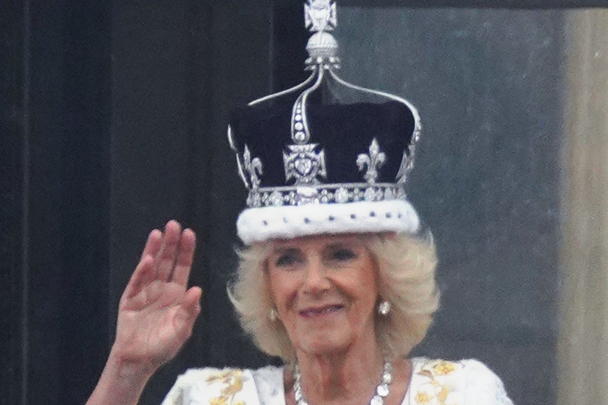 Cover: Queen Camilla Is Giving 800,000 Children the Same Book